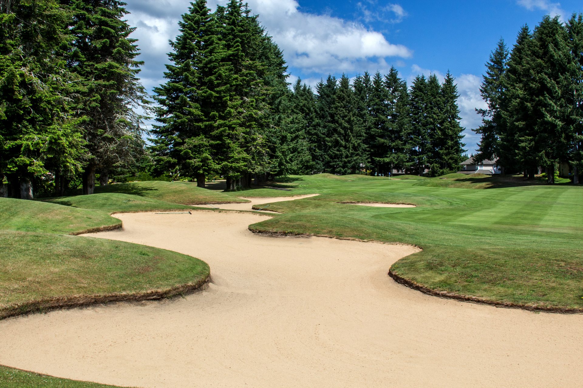 IS-2019-MikeSeidl-Hole#8-2